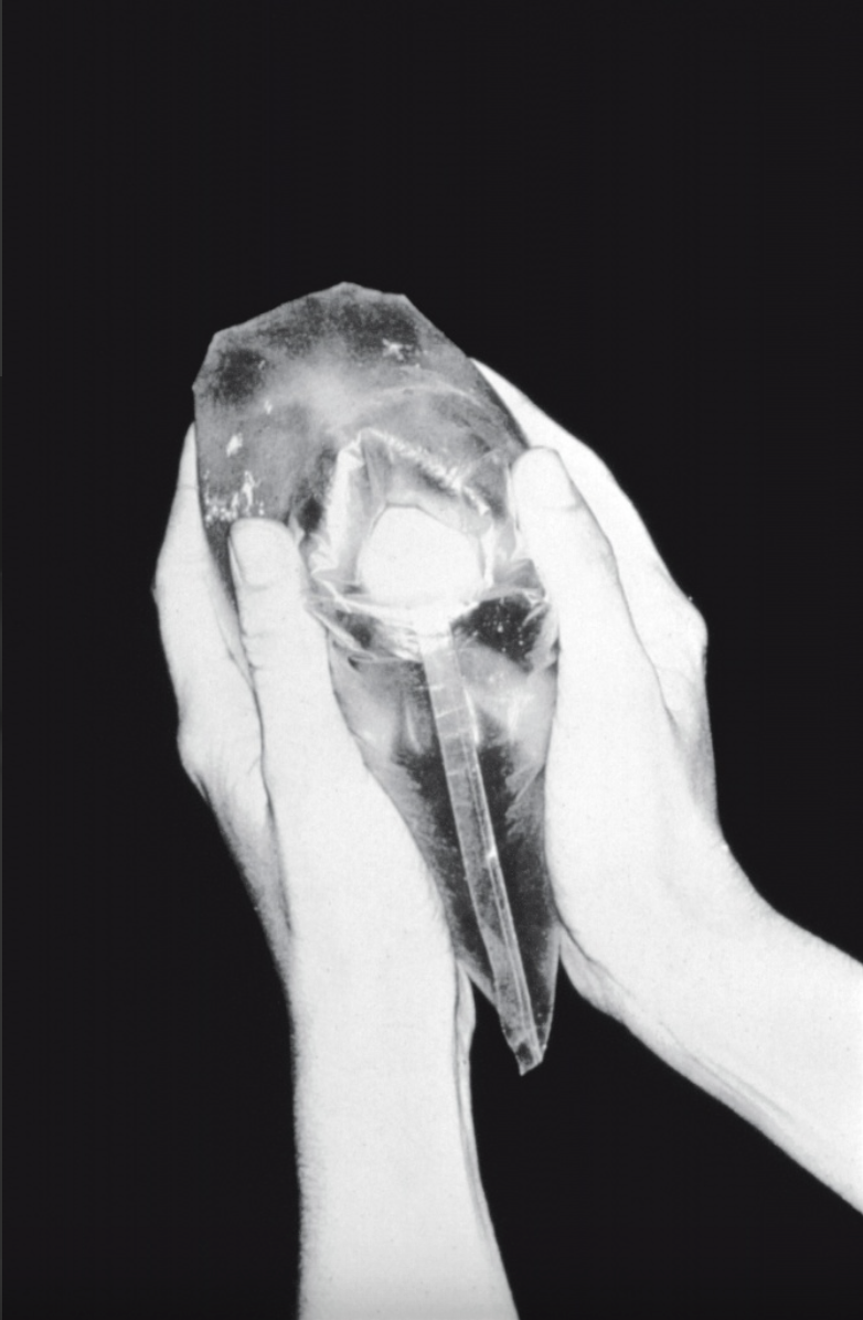 Se você segurar uma pedra, segure em suas mãos