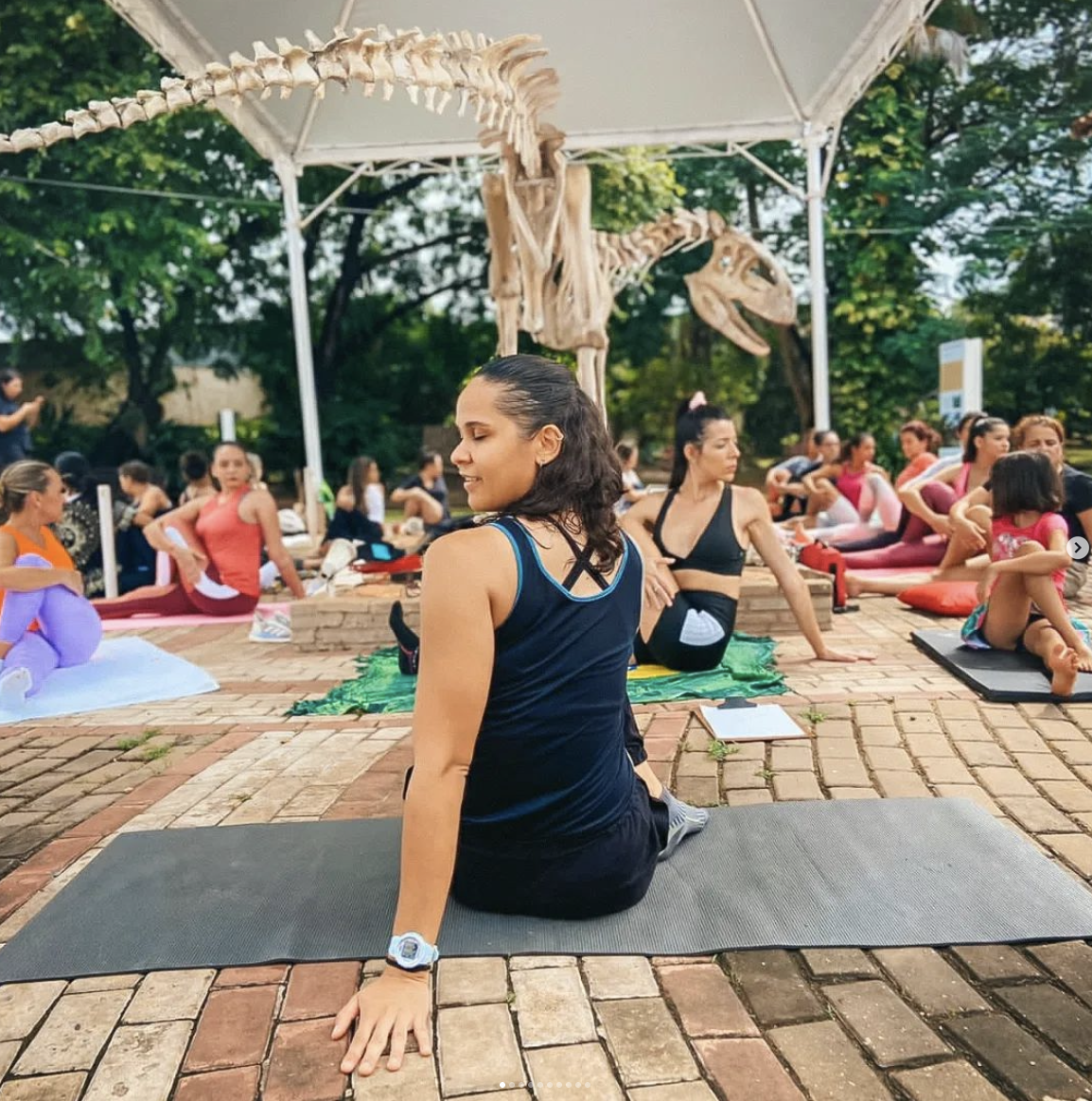 Descubra o Zen no jardim do museu – uma entrevista com Amanda Cristie